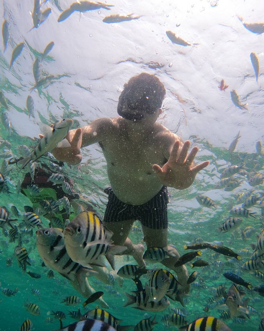 たくさんの魚に囲まれて、海の中を泳いでいるところ